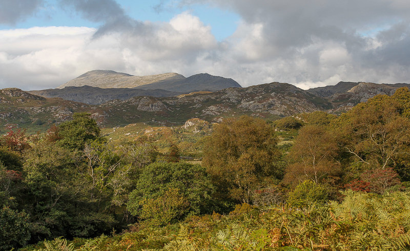 Scafell Scafell